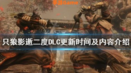 只狼更新